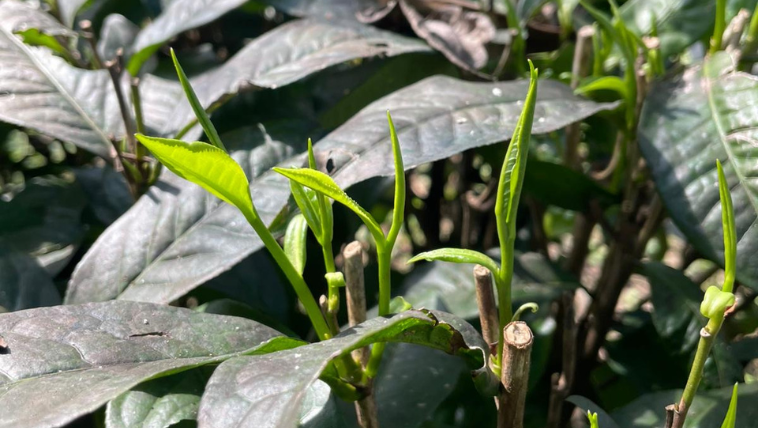 EXPERIENCE 1 GALLERY