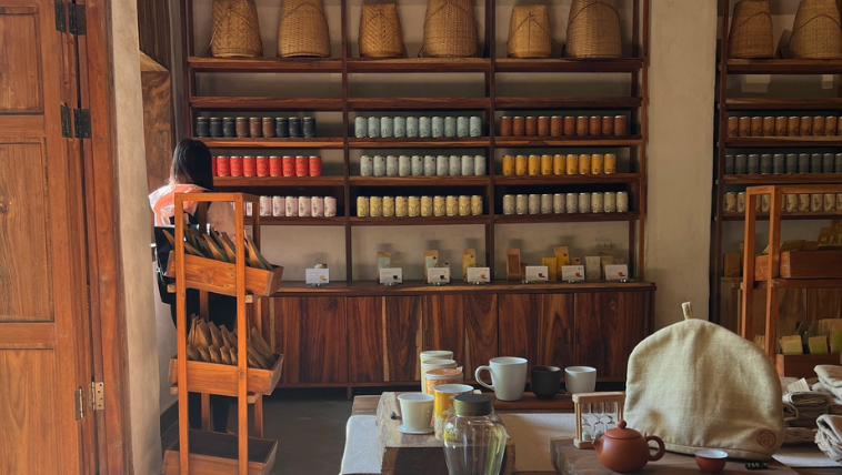 EXPERIENCE 5 GALLERY