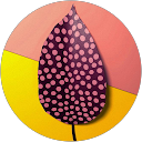 Lina P. profile picture
